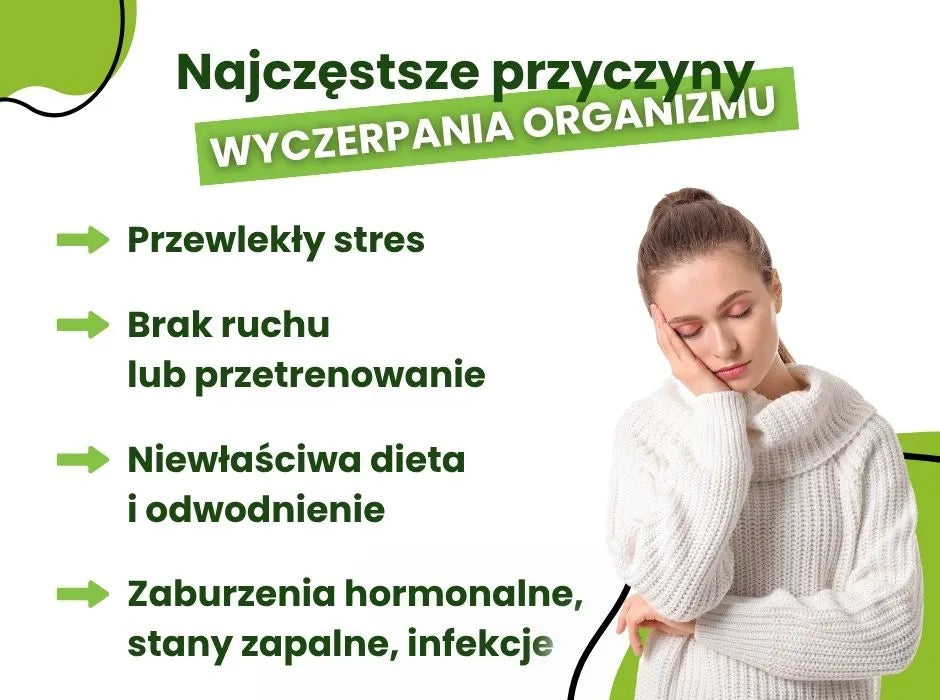 Przyczyny wyczerpania organizmu - infografika