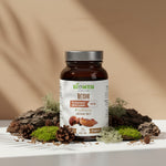 Suplement Biowen Reishi 90 kapsułek w brązowym słoiczku na tle mchu i szyszek