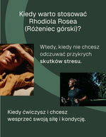 Infografika informacyjna kiedy warto stosować rhodiola rosea