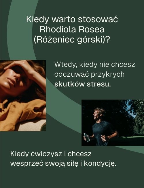 Infografika informacyjna kiedy warto stosować rhodiola rosea