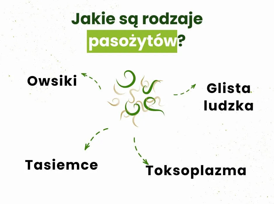 Jakie są rodzaje pasożytów? - infografika