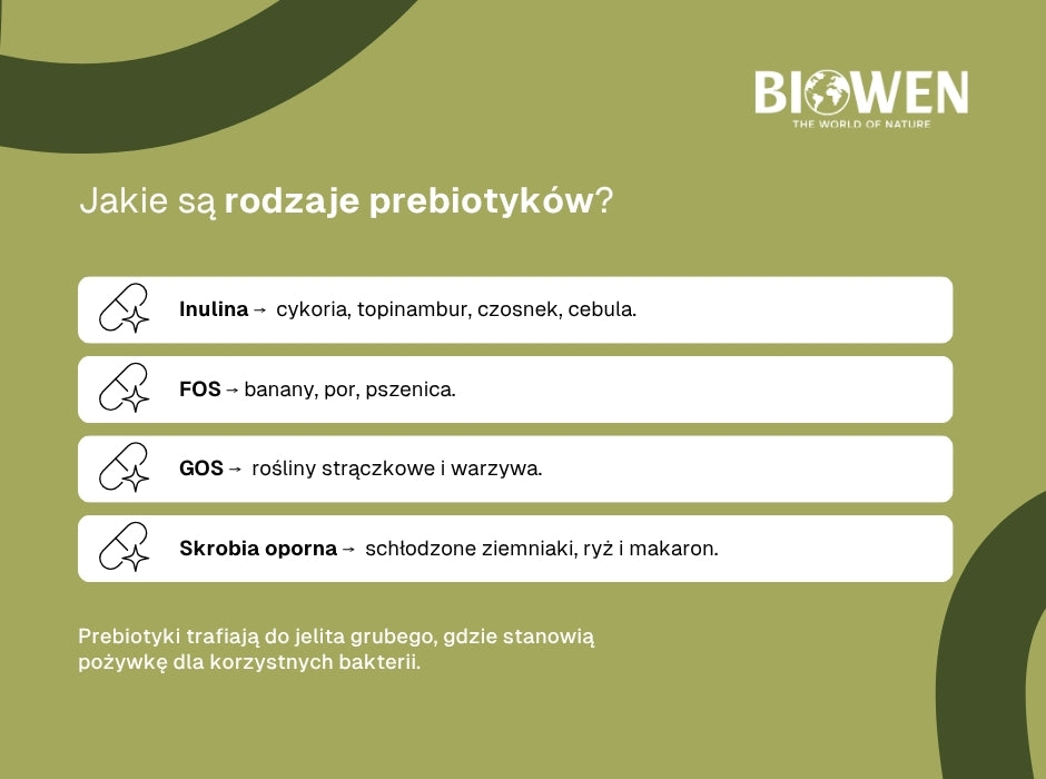 Jakie są rodzaje prebiotyków? - infografika