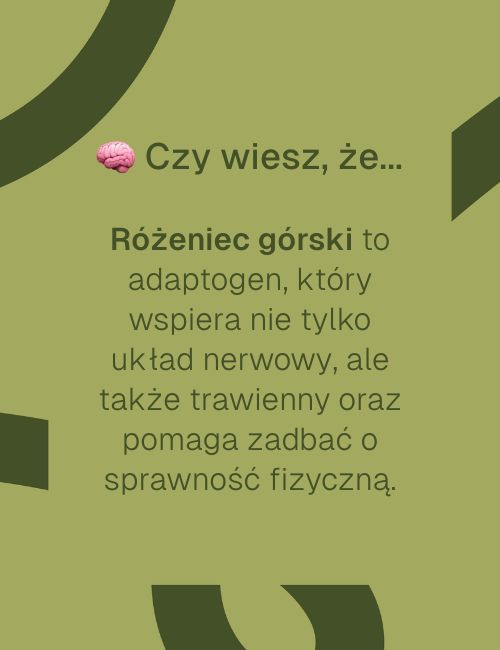 Infografika z tekstem informacyjnym  różeńcu górskim