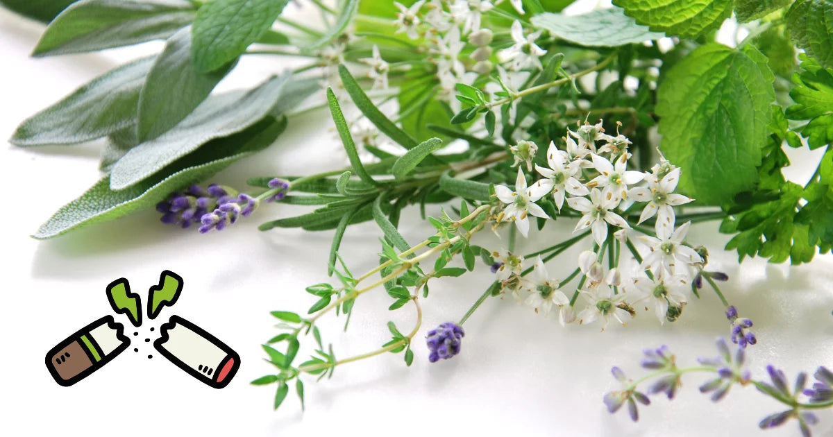 Rzucenie palenia zioła które pomogą - zdjęcie poglądow