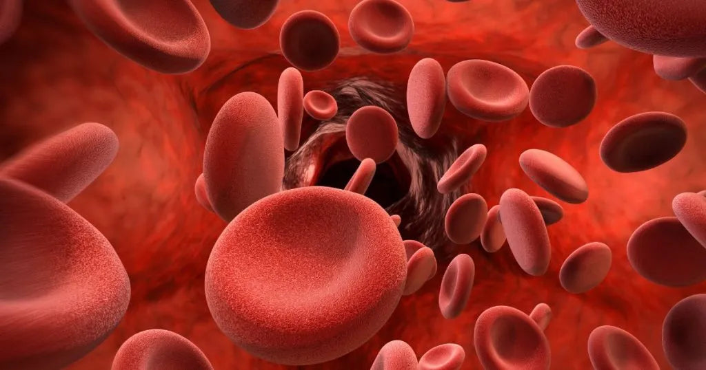 Saturacja krwi - zdjęcie poglądowe