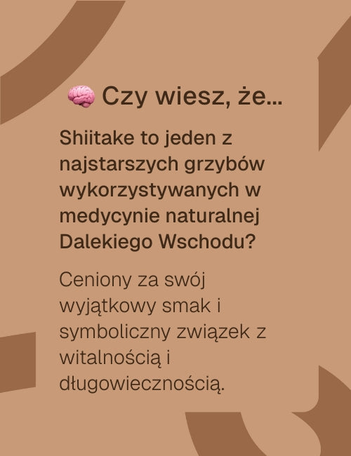 Infografika Biowen Shiitake 90 kapsułek o historii i właściwościach grzyba shiitake
