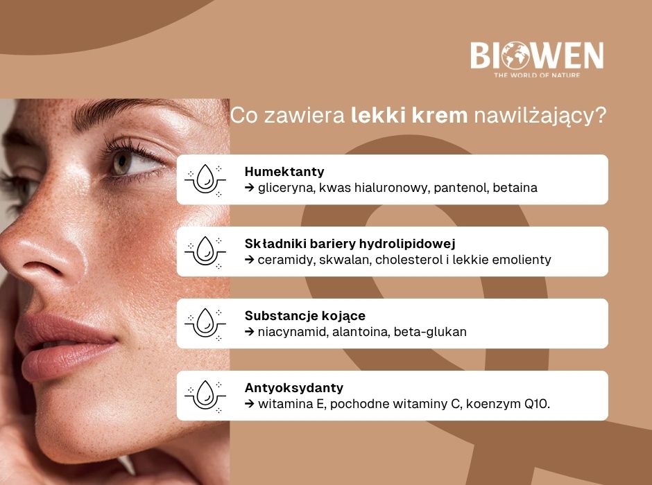 Składniki lekkiego kremu nawilżającego - infografika