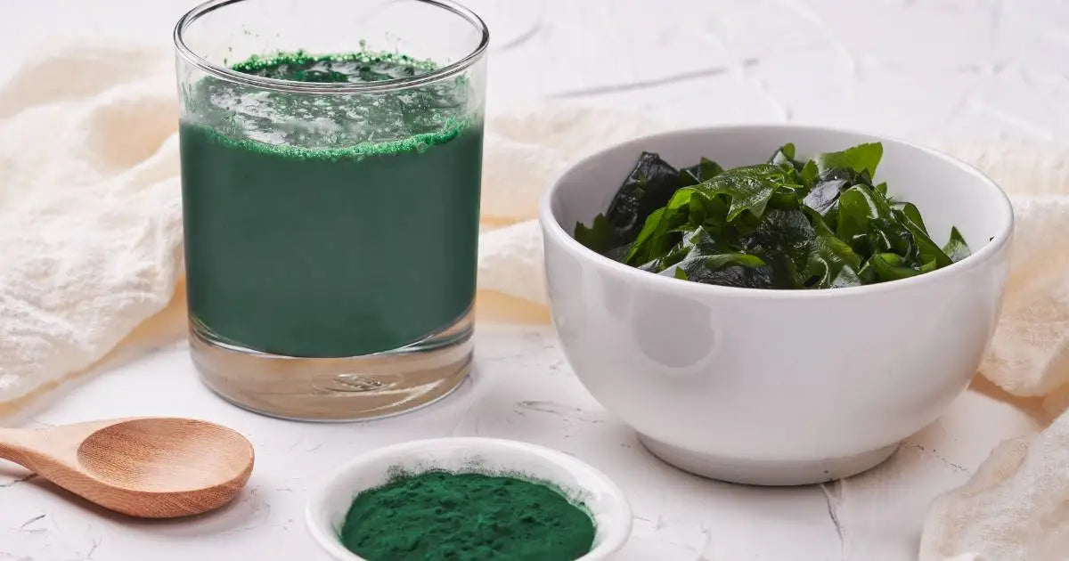 Szklanka napoju z rozpuszczoną spiruliną, miseczka świeżych alg i sproszkowana spirulina jako suplement diety.