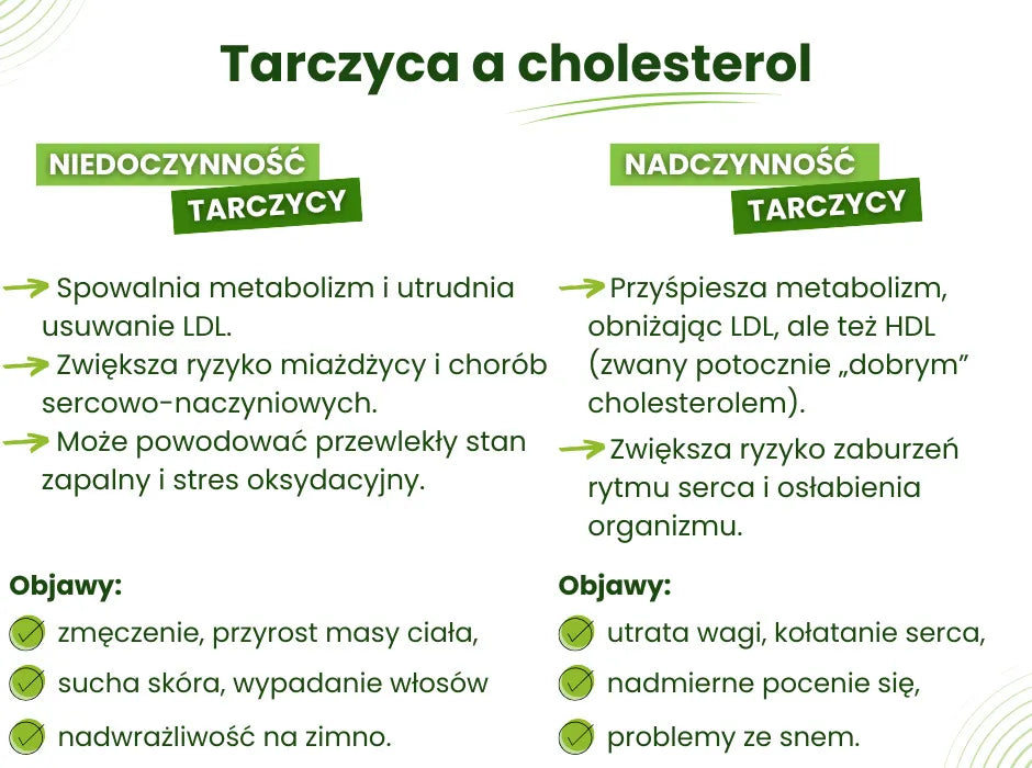 Tarczyca a cholesterol - infografika