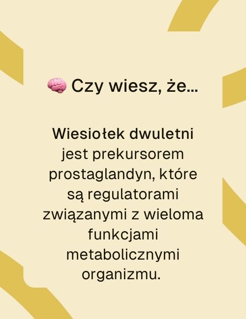 Wiesiołek forte infografika czy wiesz że