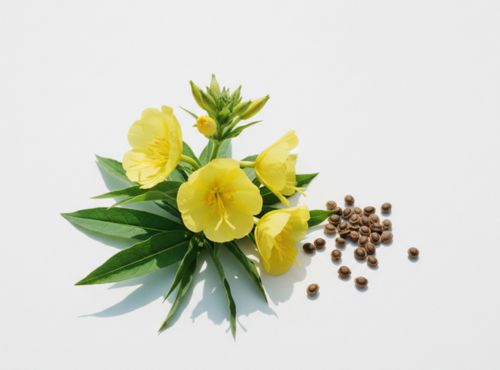 Wiesiołek Forte 1055 mg Biowen  właściwości