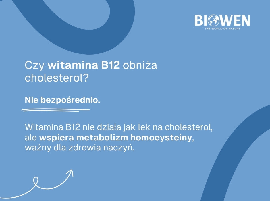 Witamina B 12 a choletserol - infografika