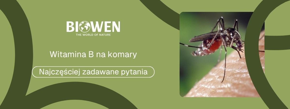 Witamina B na komary FAQ - obrazek poglądowy