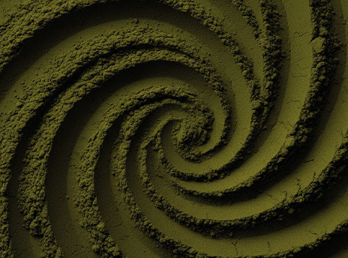 Bio Algae Detox Biowen - właściwości