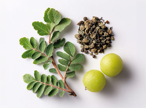 Gałązka amli z zielonymi liśćmi, suszonymi fragmentami i dwoma żółtymi owocami - składniki CortiDay Biowen