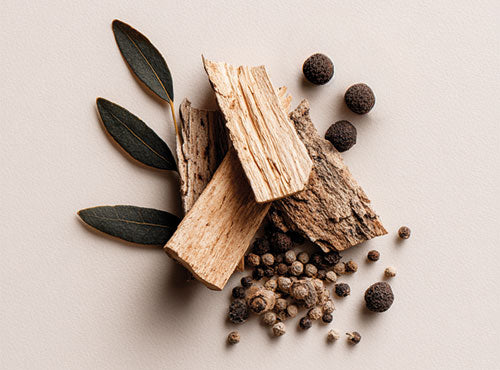 Kawałki kory magnolii z liśćmi i rozsypanymi ziarnami pieprzu czarnego, składniki CortiNight Biowen