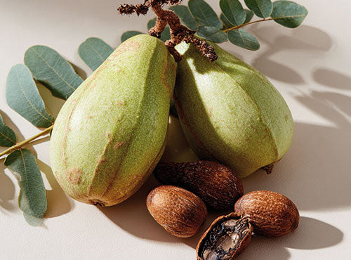 Owoce i nasiona baobabu ułożone z liśćmi na beżowej powierzchni w naturalnym świetle.