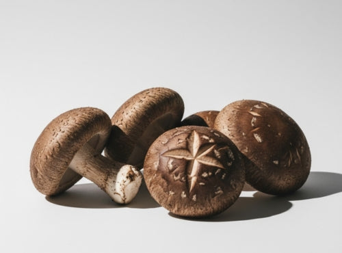 Grzyby shiitake ułożone w grupie na jasnym podłożu