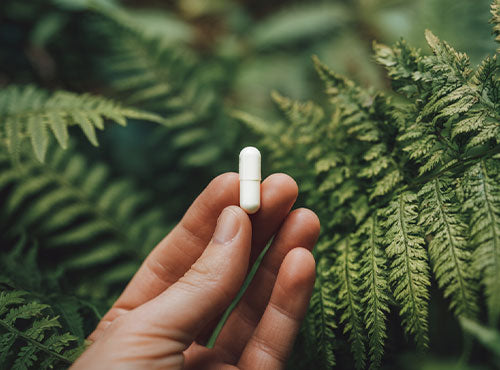 jakie właściwości ma zestaw na układ pokarmowy od biowen