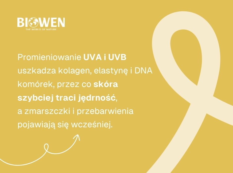 Dlaczego promieniowanie UV przyspiesza starzenie skóry? - infografika