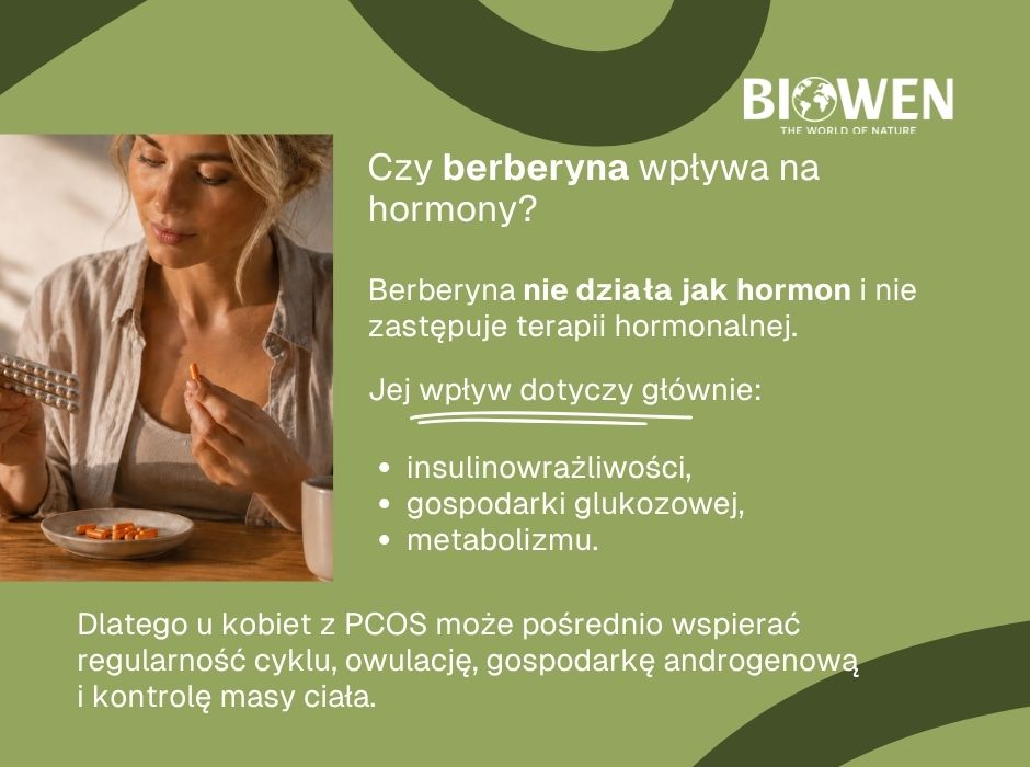 Czy berberyna wpływa na hormony? - infografika