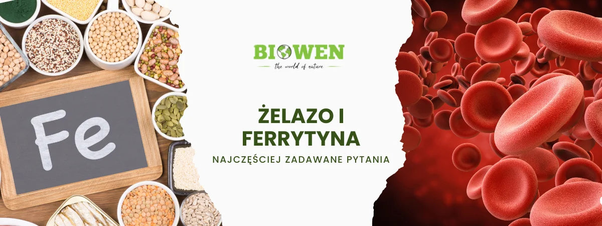 Żelazo i ferrytyna FAQ - obrazek poglądowy