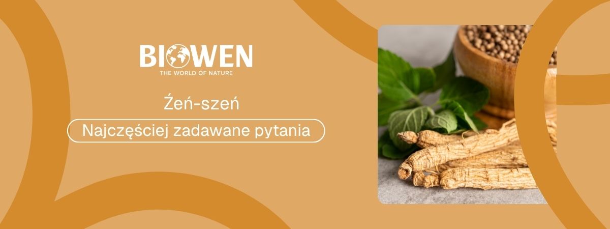 Żeń-szeń FAQ - obrazek poglądowy
