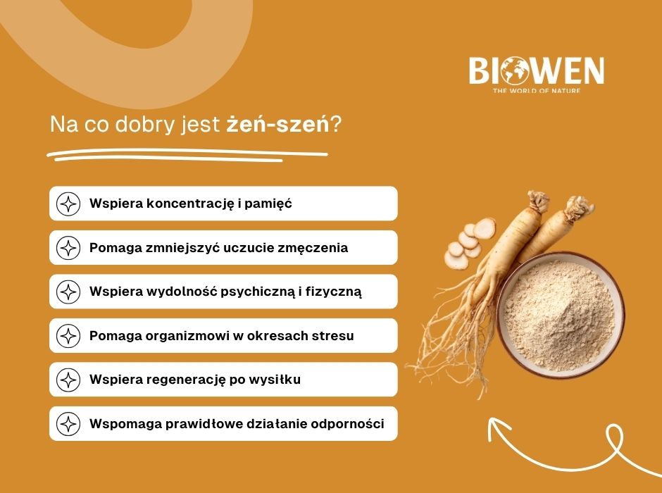 Żeń-szeń na co pomaga? - infografika