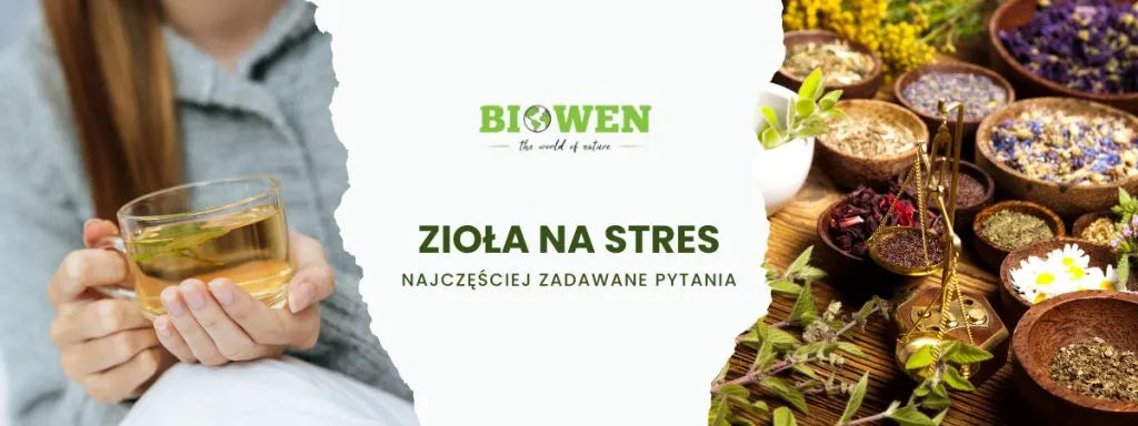 Zioła na stres FAQ - obrazek poglądowy