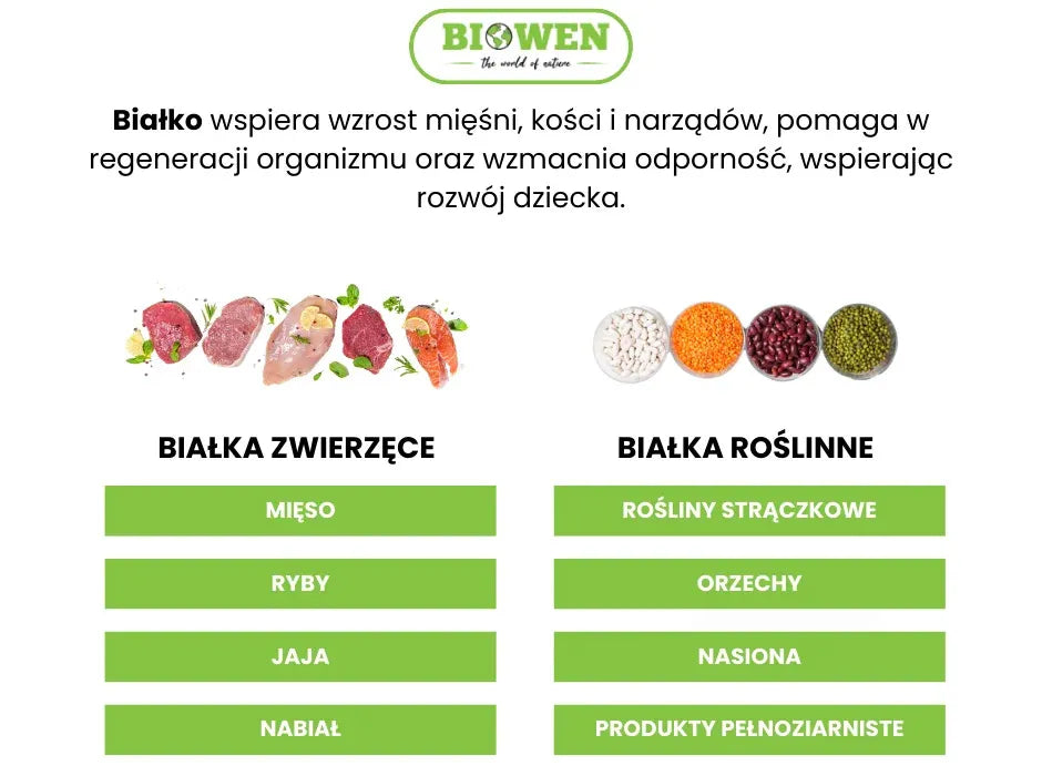 Źródła białka w diecie dziecka - infografika