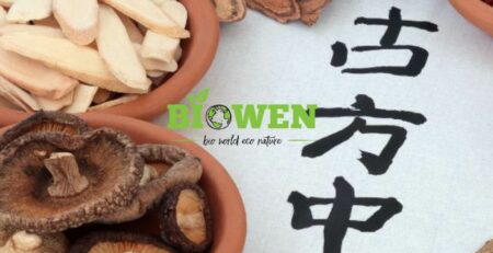 grzyby chińskie - wszystko co musisz wiedzieć