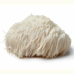 Lion’s Mane grzyb chiński