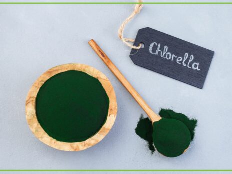 Chlorella - dlaczego warto ją stosować i jakie ma właściwości
