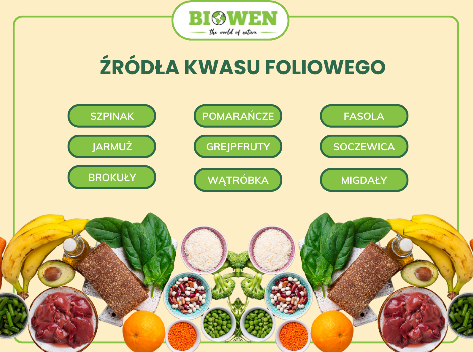 Źródła kwasy foliowego - infografika