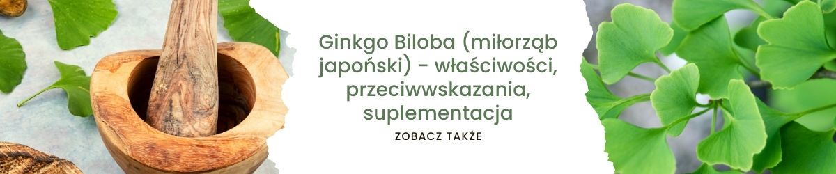 Ginkgo Biloba (Miłorząb Japoński) - właściwości, przeciwwskazania, suplementacja - obrazek zobacz także