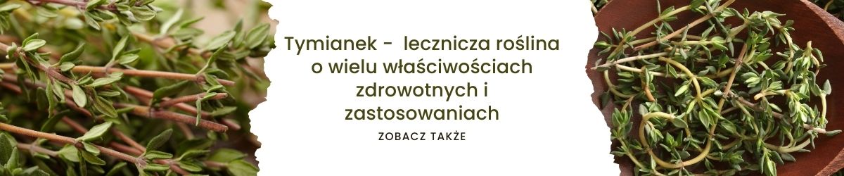 Tymianek - lecznicza roślina o wielu właściwościach zdrowotnych i zastosowaniach - obrazek zobacz także 