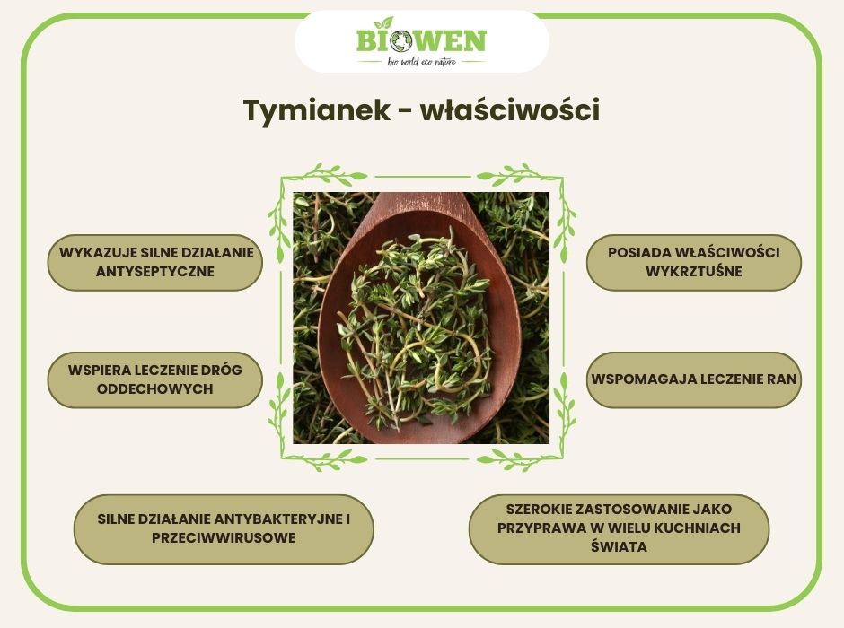 Tymianek - właściwości - infografika