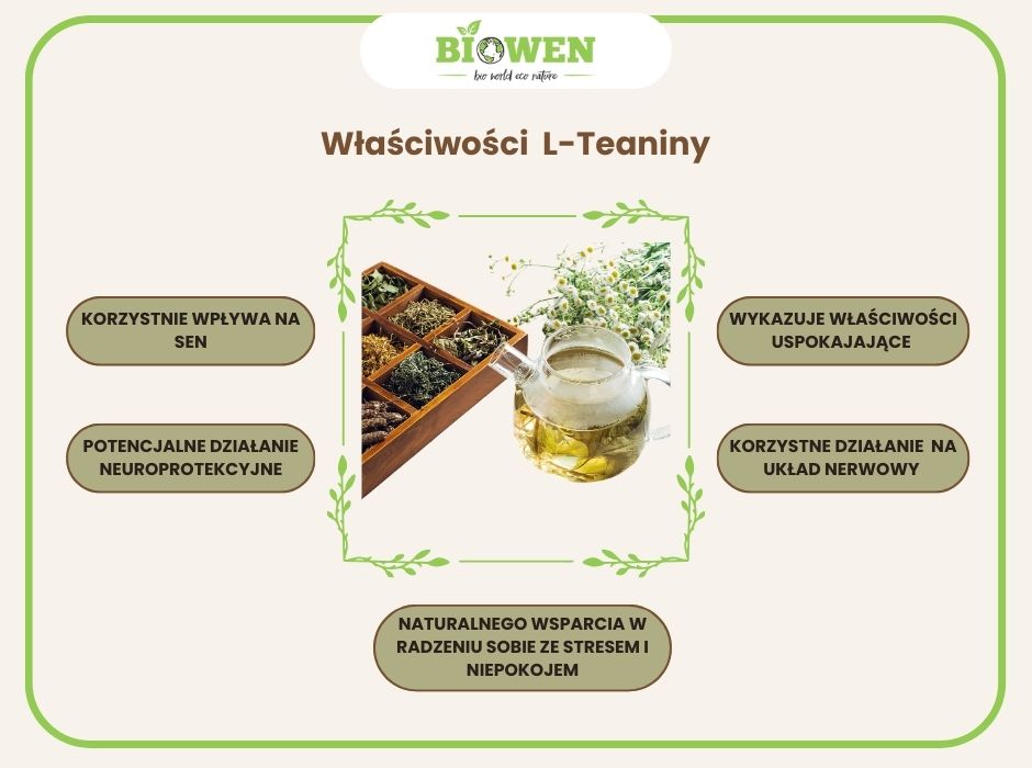 Właściwości L-teaniny - infografika