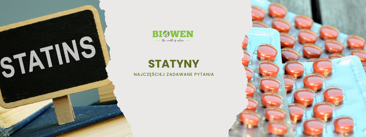 Statyny FAQ - zdjęcie poglądowe