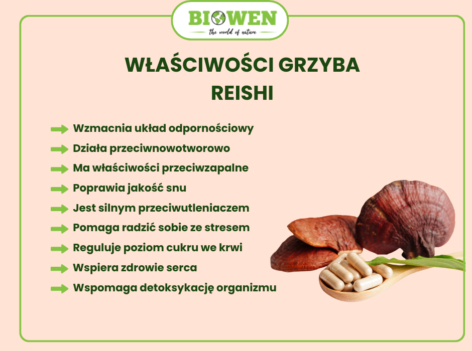 Właściwości grzyba reishi - infografika