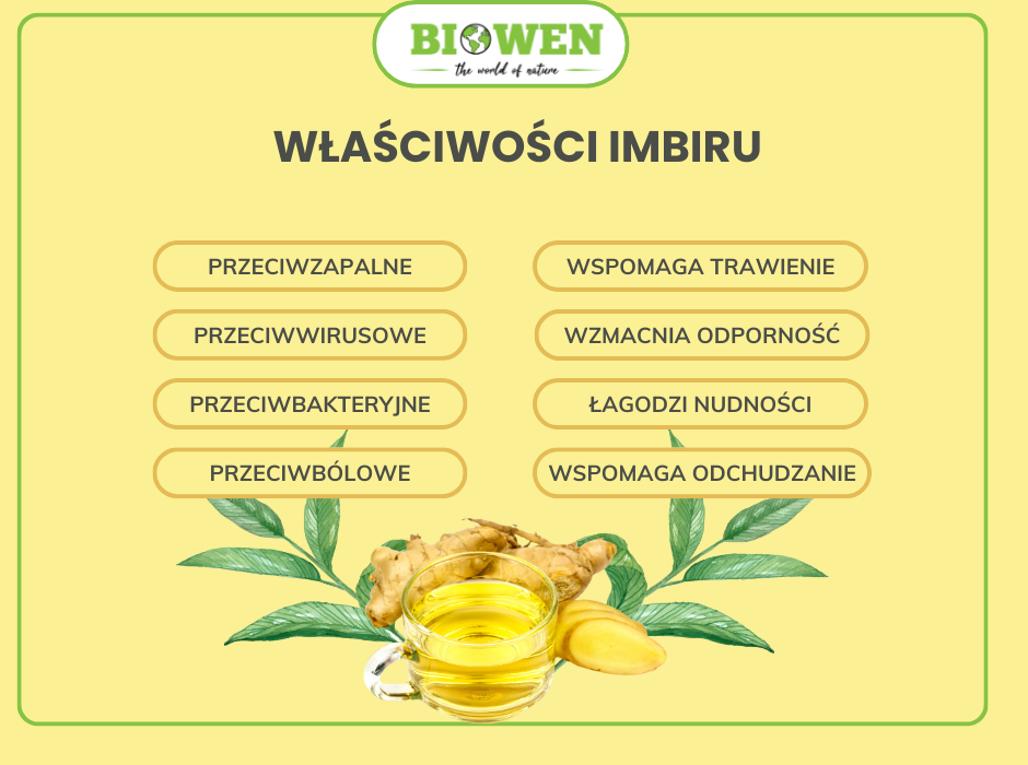 Właściwości imbiru - infografika