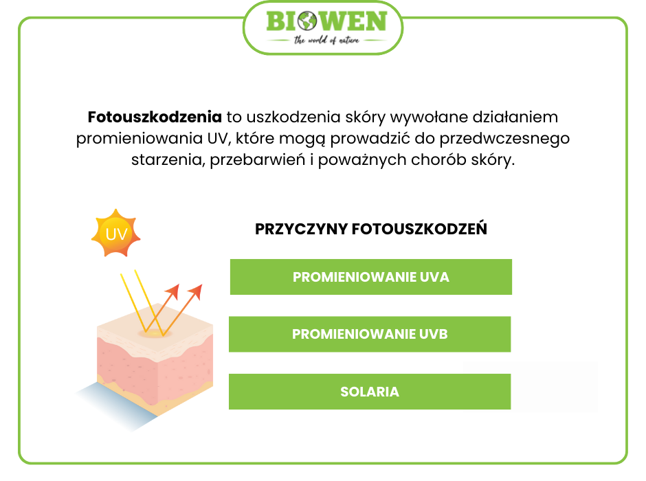 Fotouszkodzenia - infografika