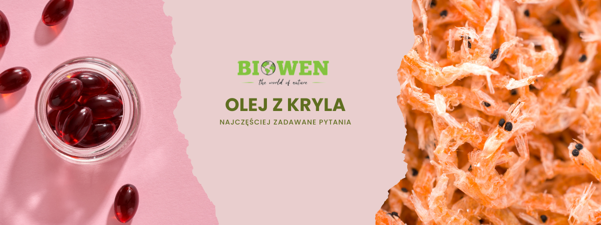 Olej z kryla FAQ - zdjęcie poglądowe