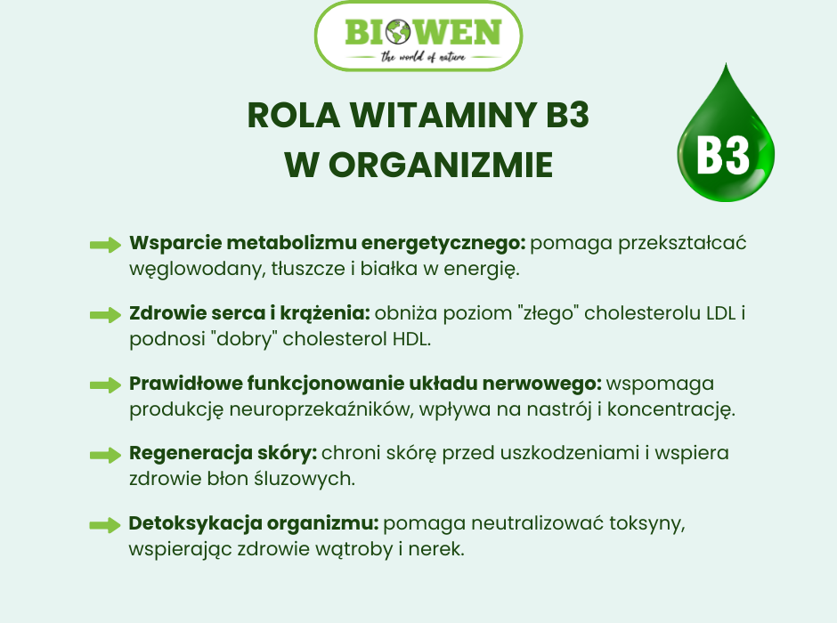 Rola witaminy B3 w organizmie - infografika