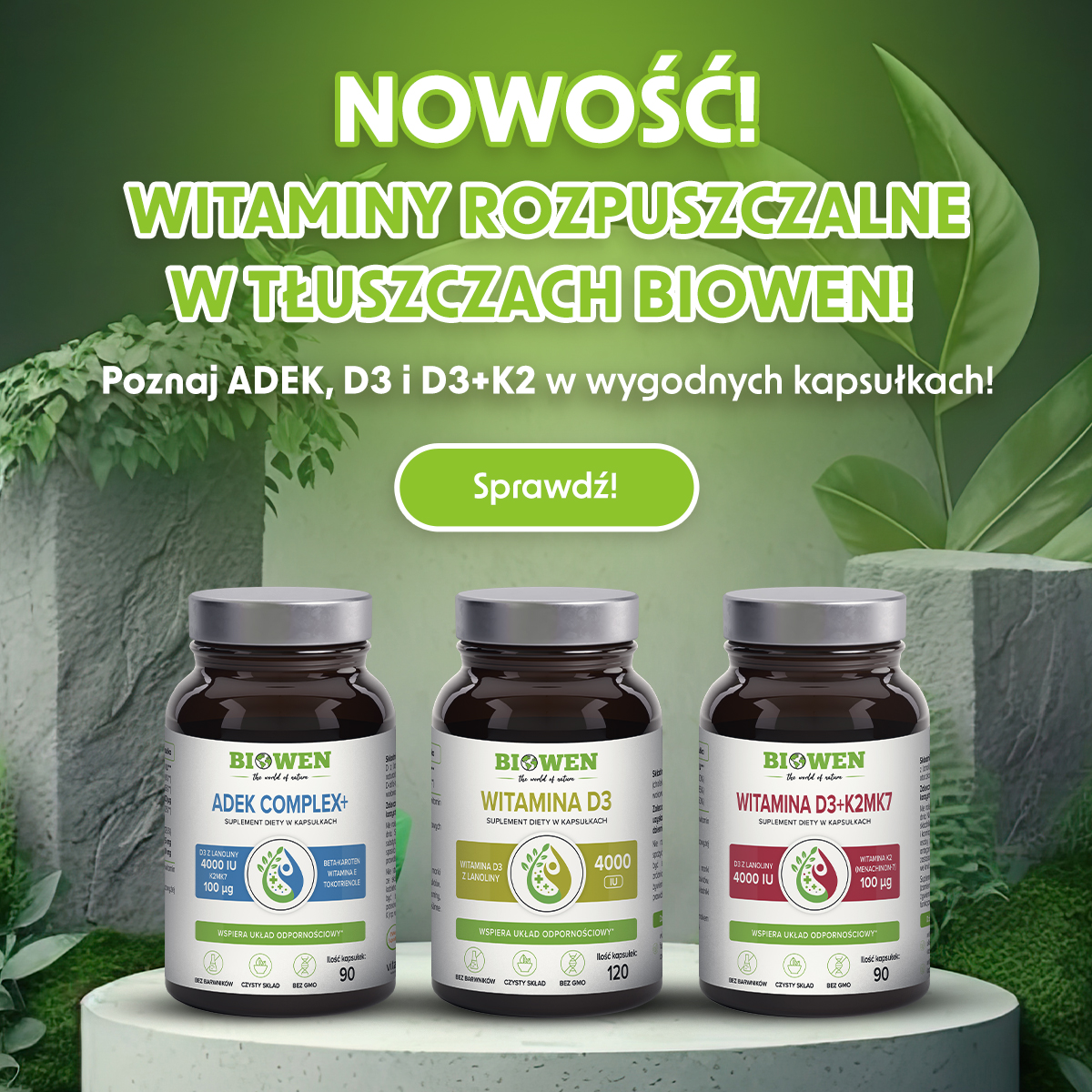 nowości 