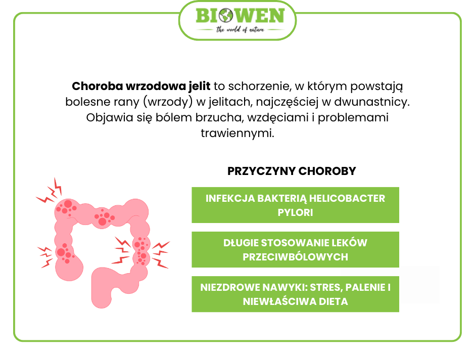 Choroba wrzodowa jelit - infografika