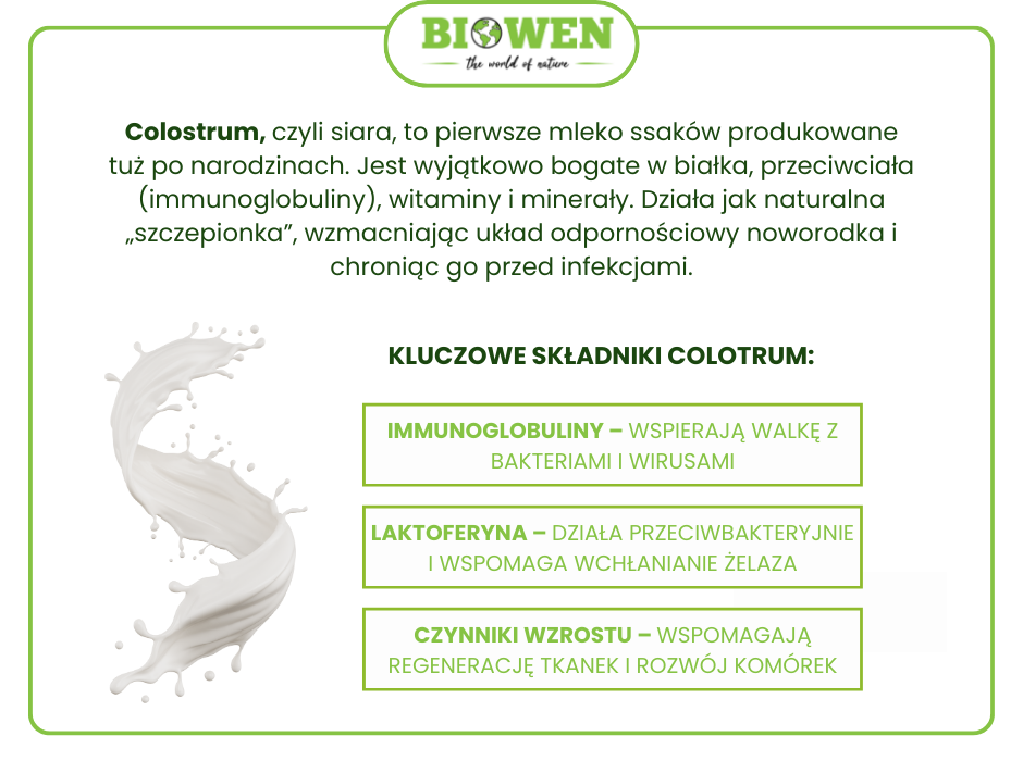 Co to jest colostrum - infografika