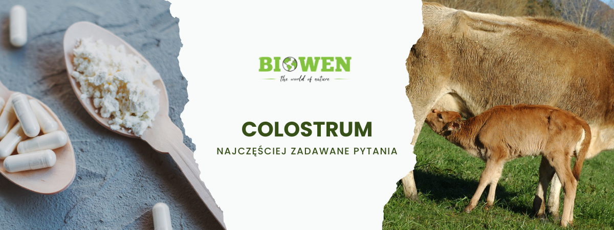 Colostrum FAQ - zdjęcie poglądowe