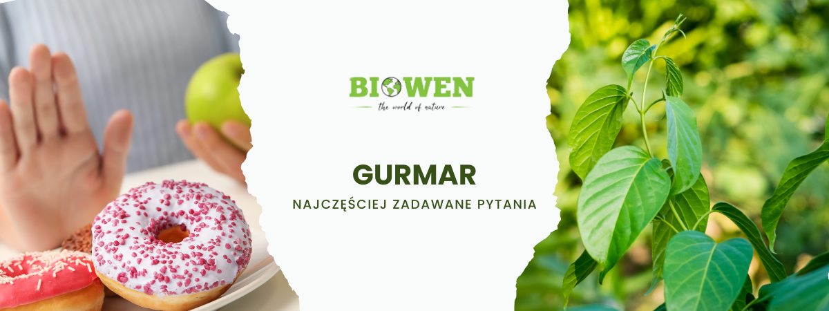 Gurmar FAQ - obrazek poglądowy