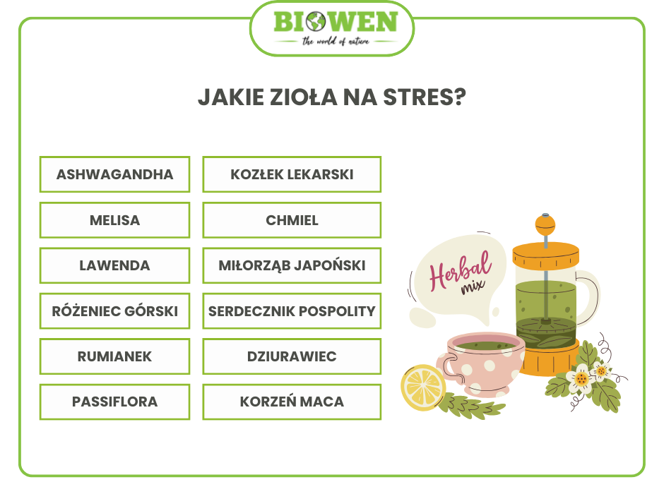 Jakie zioła na stres? - infografika